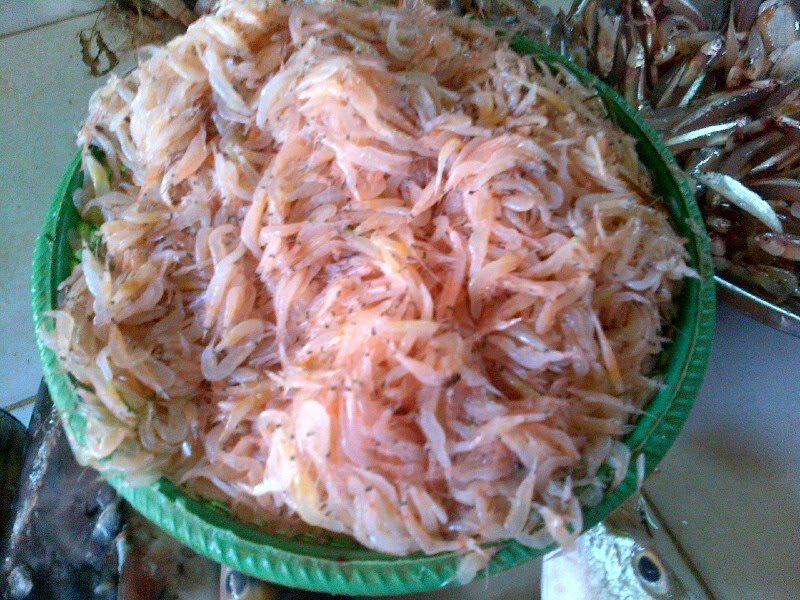 Image produk Rebon, udang kecil, segar