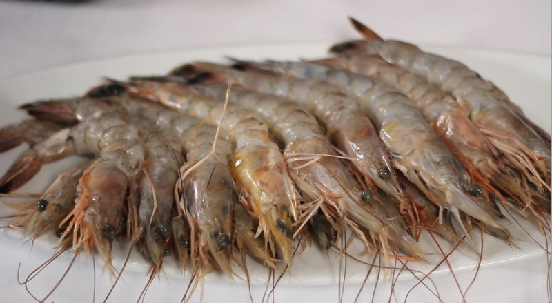 Image produk Udang segar