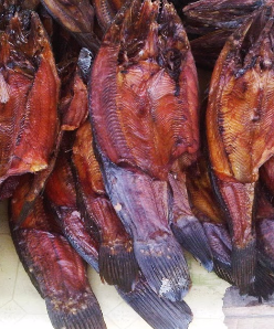 Image produk Ikan Gabus asap, mentah