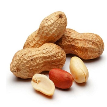 Image produk Peanut