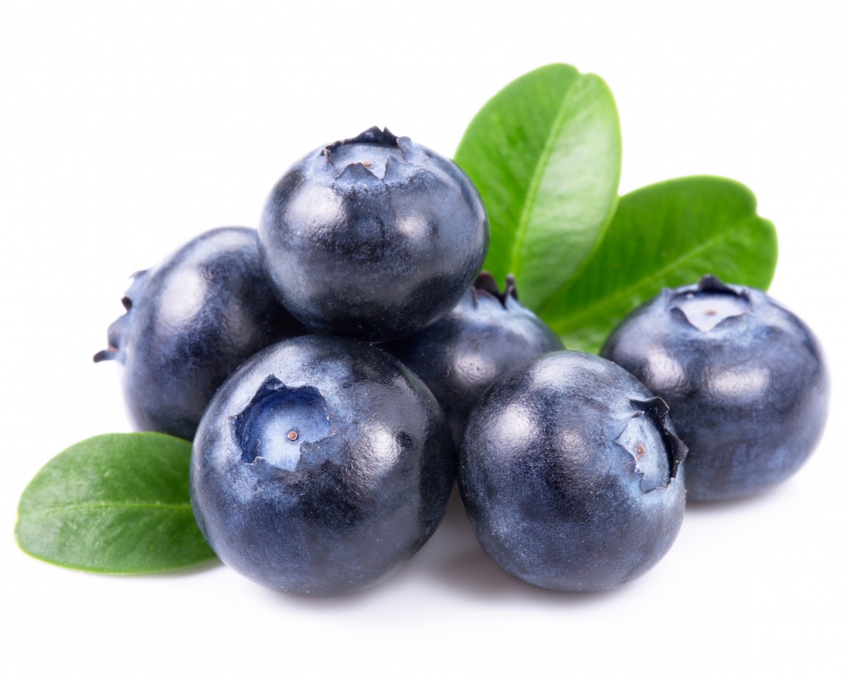 Image produk Bluberry