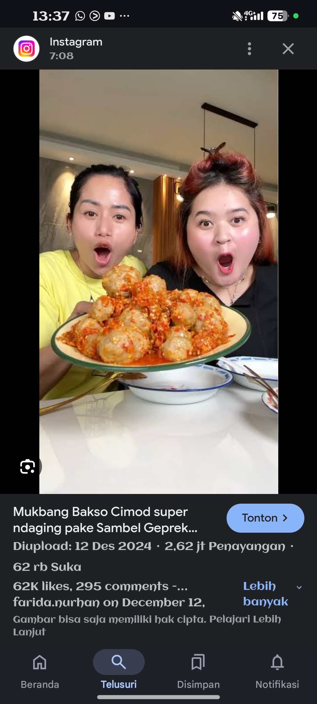 Image produk Bakso